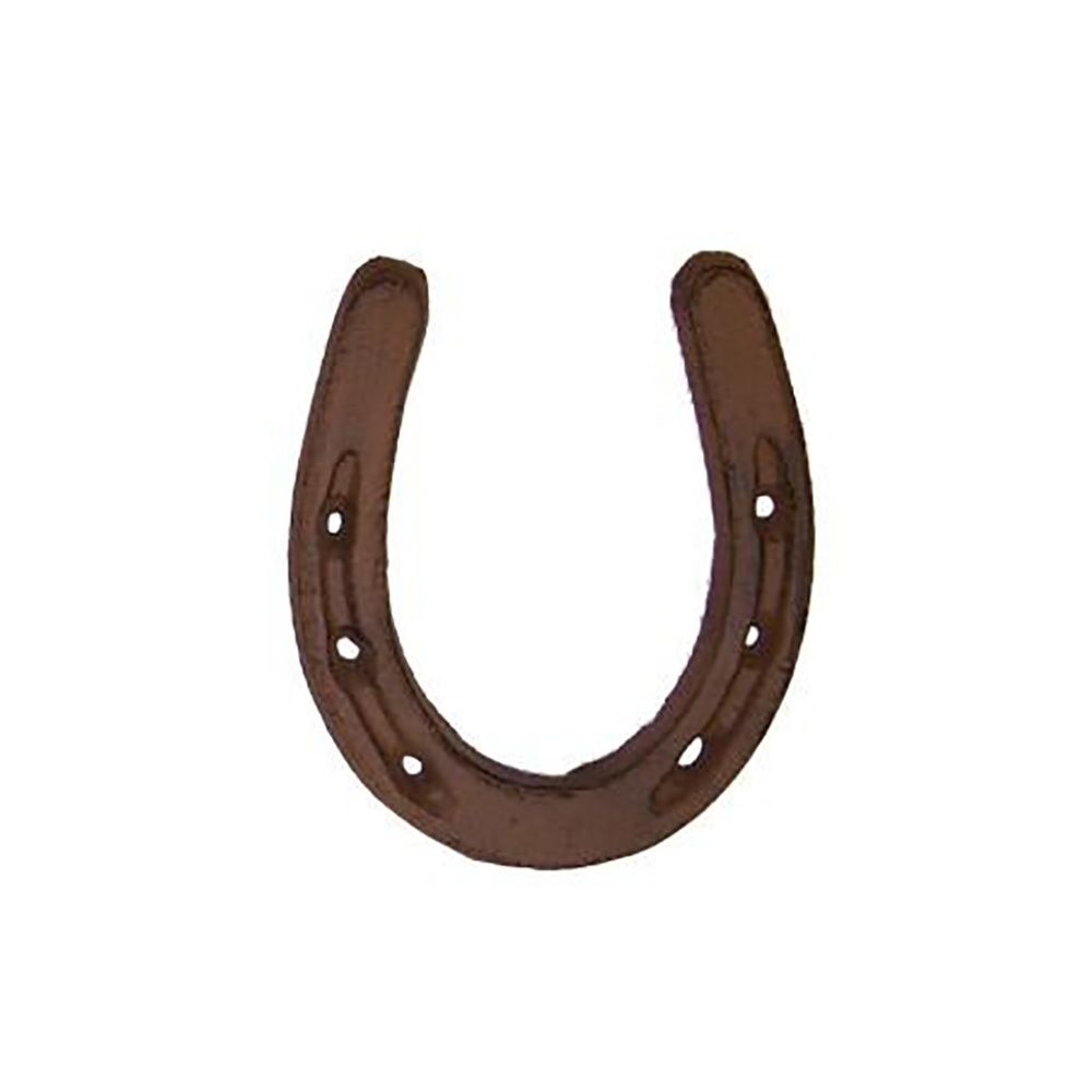 Cast Iron Horseshoe Wall Decor - 5 Inch